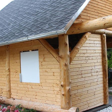 Ferienwohnung Loeffler Nassau-Erzgebirge 弗劳恩施泰因山 外观 照片