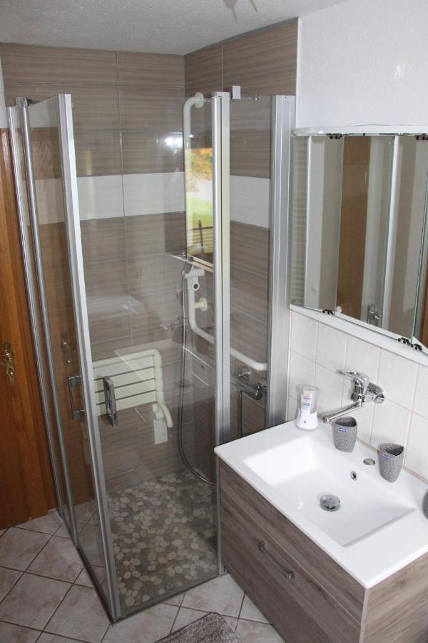 Ferienwohnung Loeffler Nassau-Erzgebirge 弗劳恩施泰因山 外观 照片