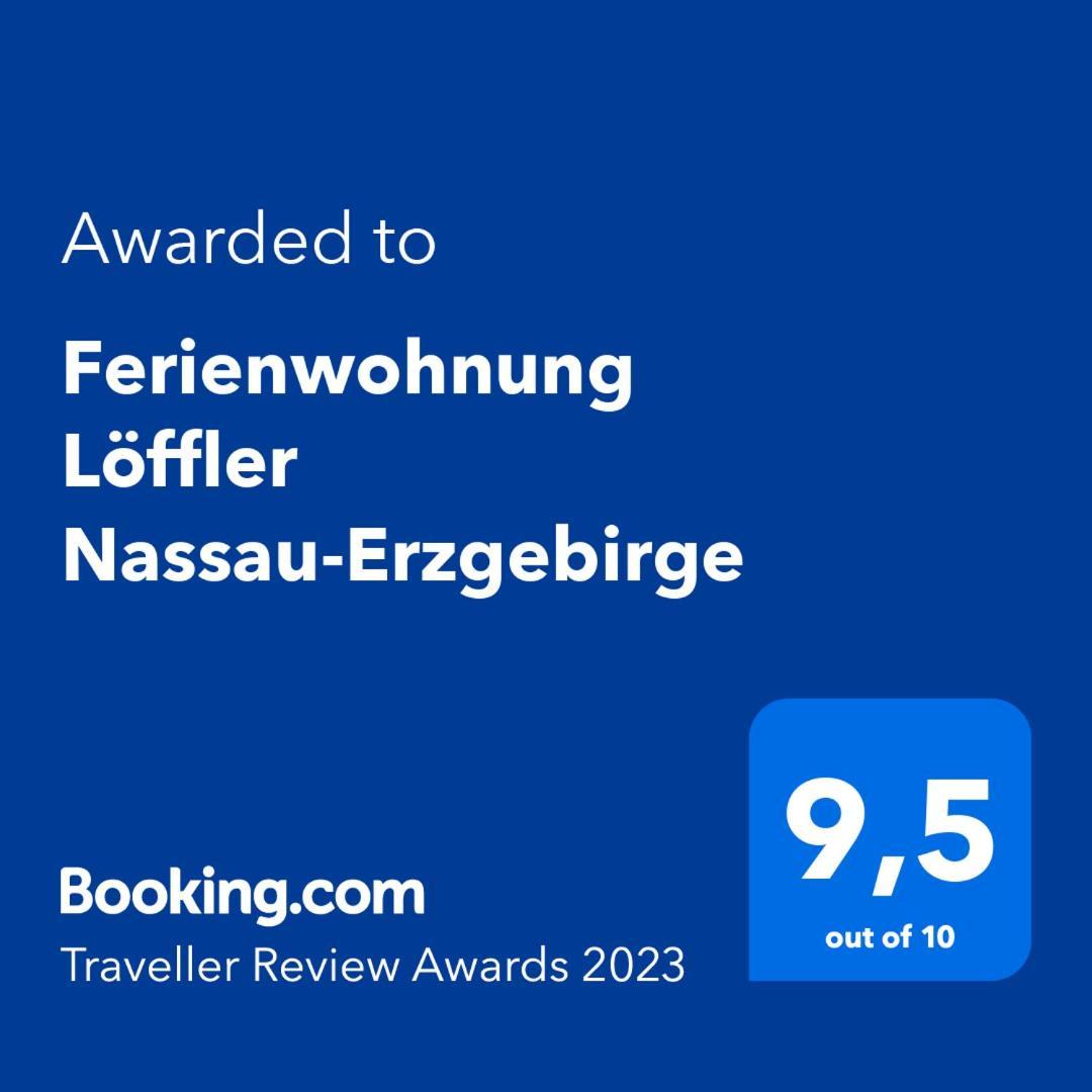 Ferienwohnung Loeffler Nassau-Erzgebirge 弗劳恩施泰因山 外观 照片